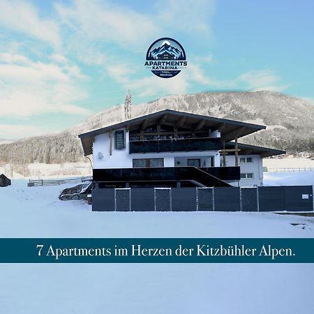 Apartments Katarina Fieberbrunn Exterior foto